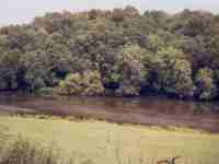 New River Pictures No. 5