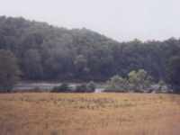 New River Pictures No. 7