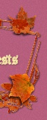 View my Guestbook