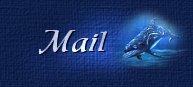 Send Me an Email!