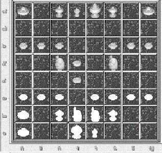 wpe44.gif (87125 bytes)