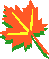 wb01524_.gif (397 bytes)