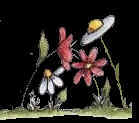 flower gif