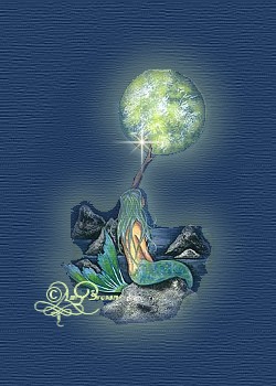 sea nymph image