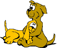 dog and cat hugging