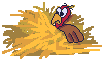 turkey hiding