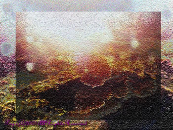 CORALS.3