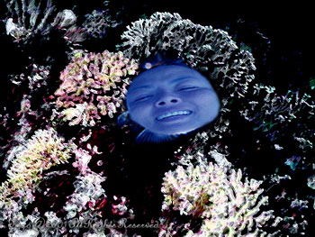 CORALS.FISH
