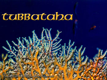 FANCORAL