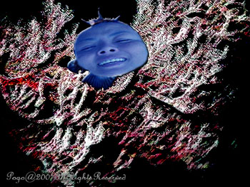 FANCORAL.PINK.1