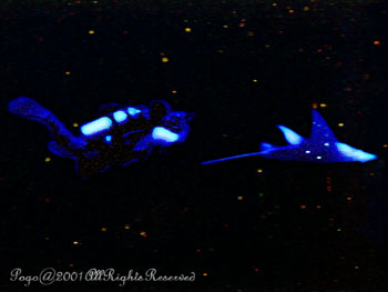 MANTARAY.7
