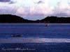 ANILAO.FISHINGBOATS