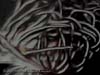 CRINOID