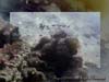 SEASCAPE.3