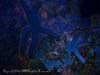 STARFISHES