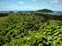 Lelu Island in the harbor.
