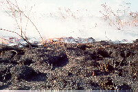 Across from the hospital on 13 March 98