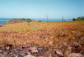 The top of Nett Point, Pohnpei.
