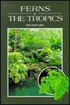 Ferns of Hawaii