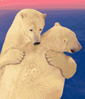Click here to send a Virtual Polar Bear hug!