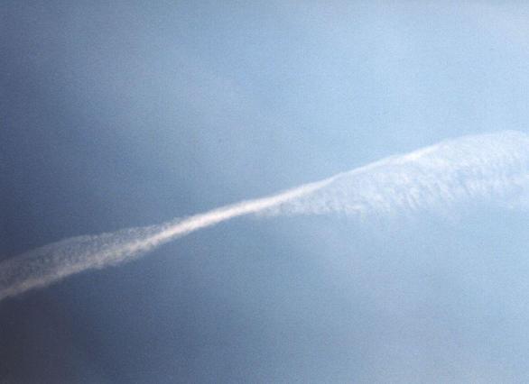 c4w.jpg - 19855 Bytes