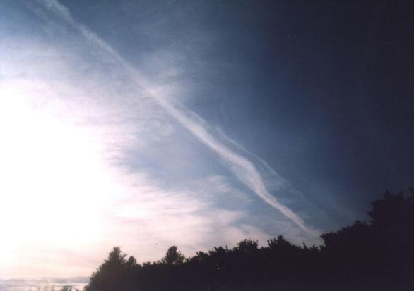 c5w.jpg - 14937 Bytes