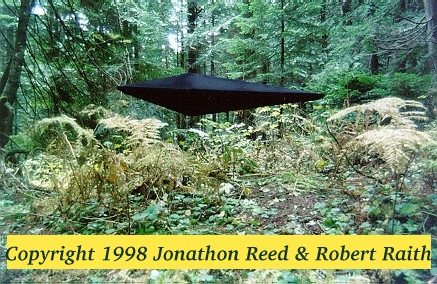 REEDSHIP.JPG - 92083 Bytes