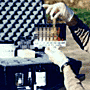 Soil Test
