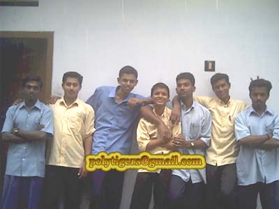 polytigers2