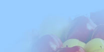 pomme design
