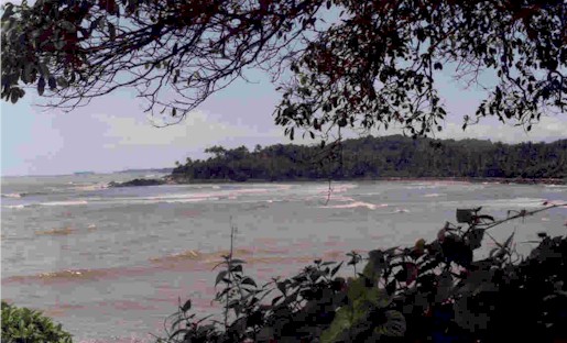 Arabian Sea - View from Tagore Park