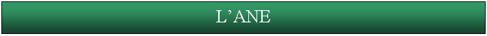 Zone de Texte: LANE