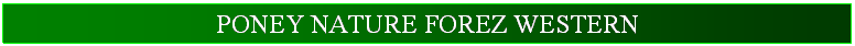 Zone de Texte: PONEY NATURE FOREZ WESTERN