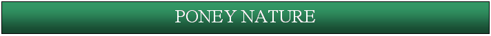 Zone de Texte: PONEY NATURE