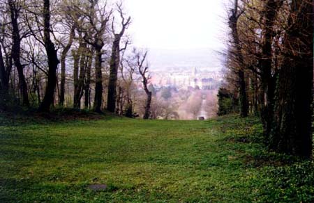 belvederepark