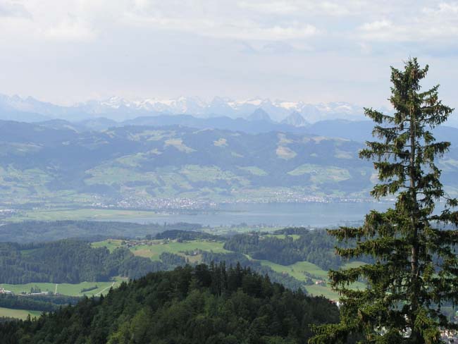 Alps1