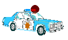 /user/copcar4.gif
