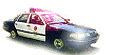 /user/lapdcar.gif
