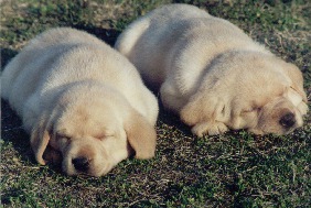 nap time?