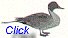 Gun Dog Training: We'll train your retriever to be a duck hunting retriever!