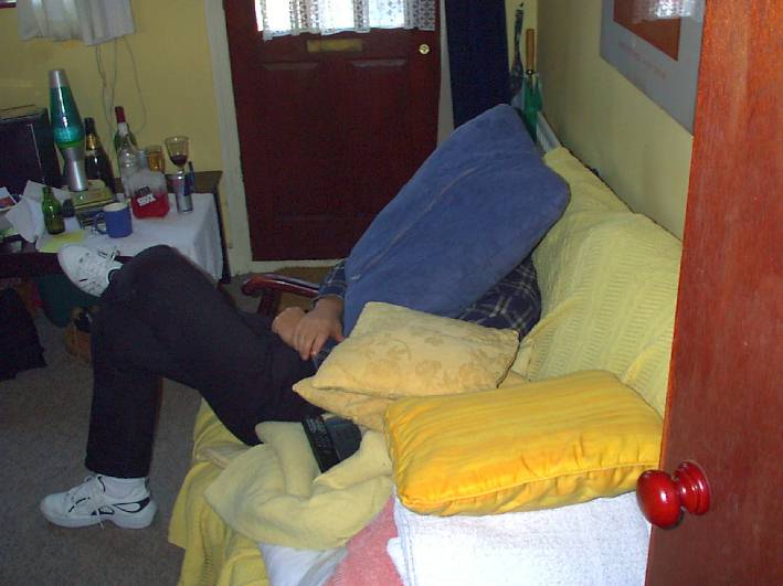Cushion Monster?