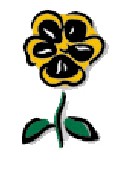 pansy.jpg