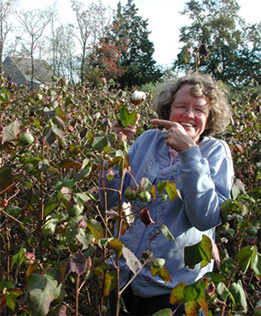 Standing in Tall Cotton