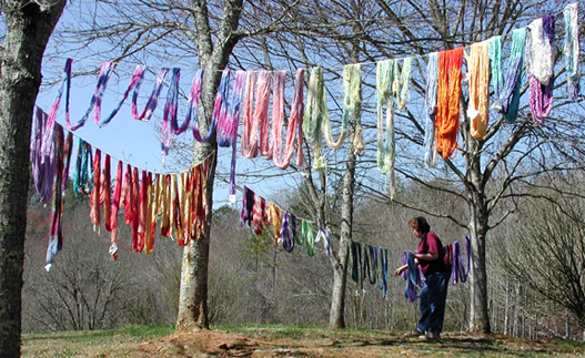 Drying Skeins of Dyed Yarn