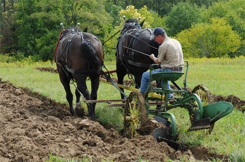 2-way Plow