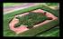TURTLE MAZE
