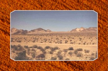Nevada Desert
