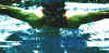 Fly07.JPG (36307 bytes)