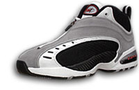 reebok wink dmx