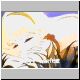 oldtv3.gif